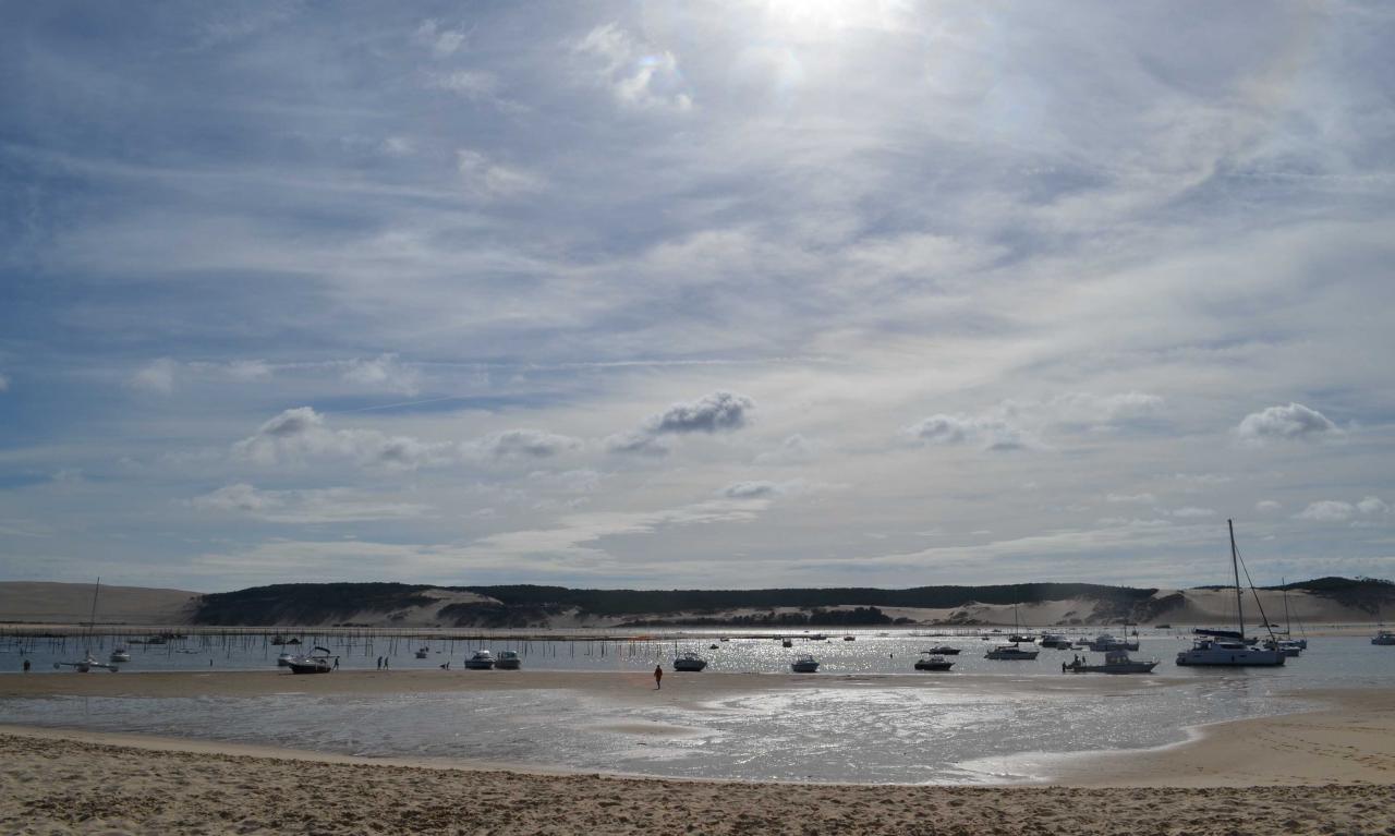 Banc d'Arguin - une conche