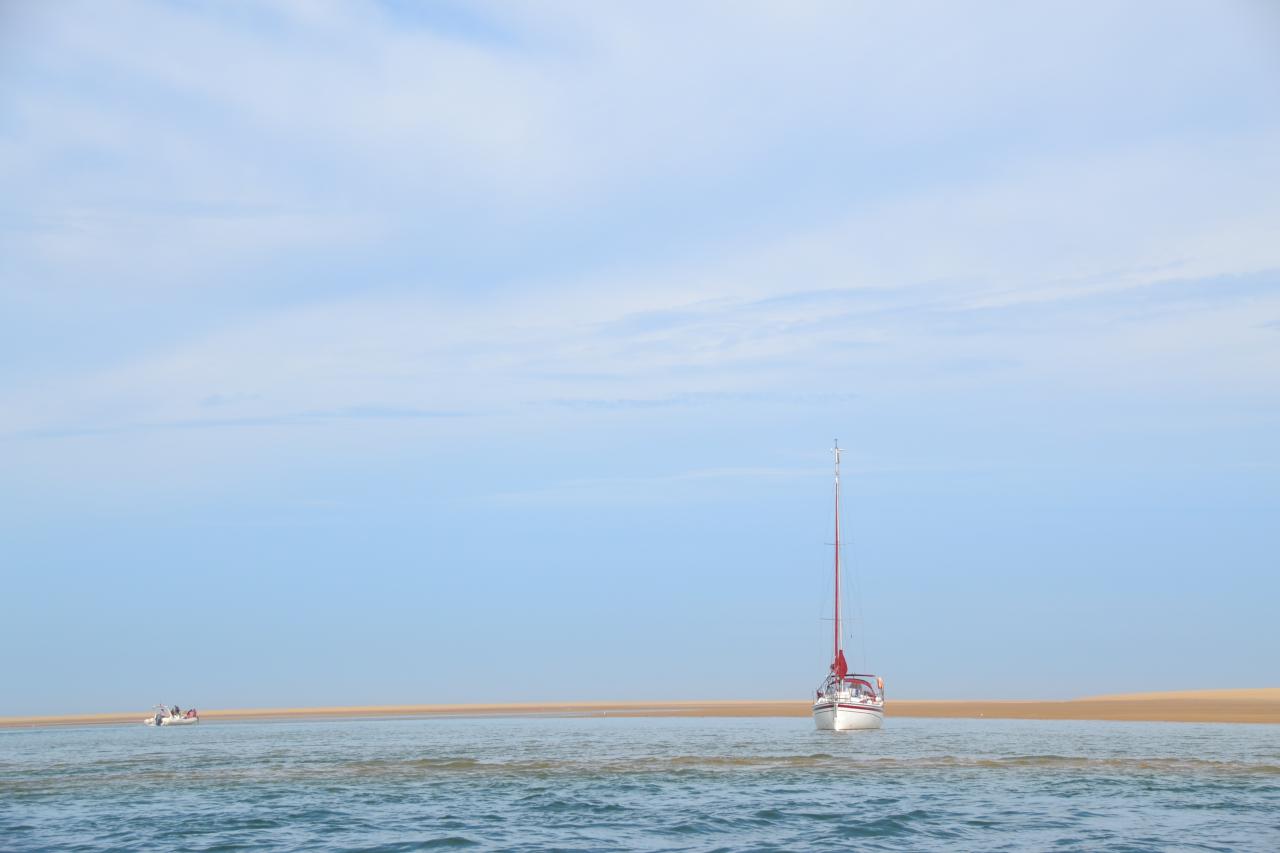 Nouvelle conche au Banc d'Arguin