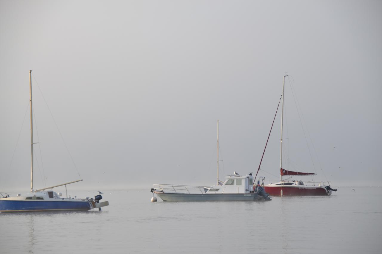 brume dans le chenal