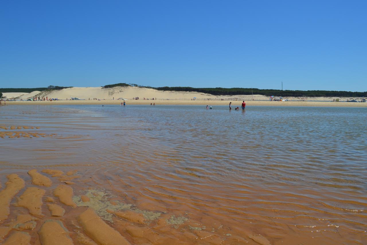 Banc d'Arguin août 2015 coef 106
