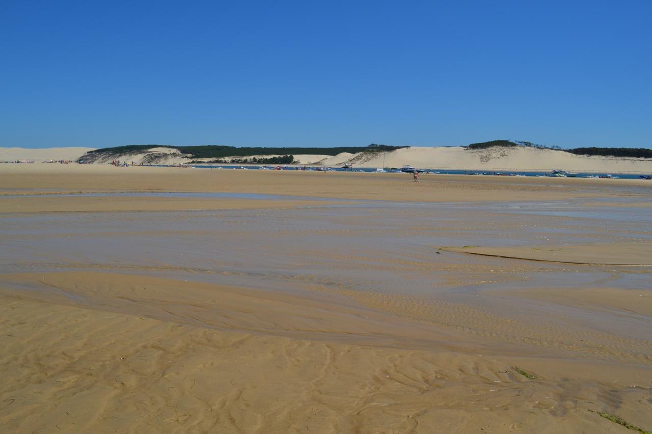 Banc d'Arguin