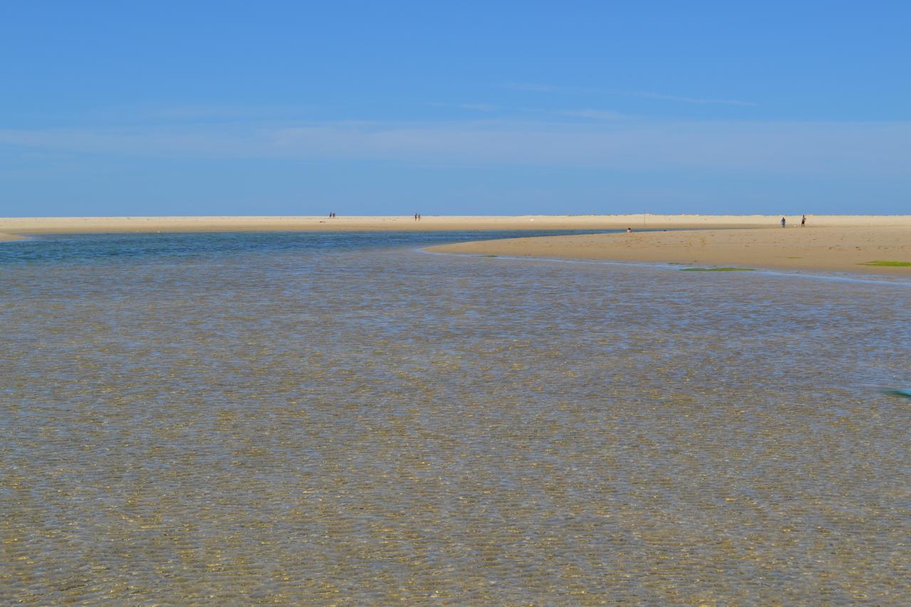 Banc d'Arguin