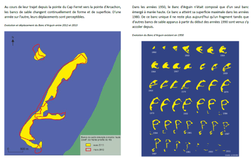 2014 - évolution Banc Arguin - page 3 sur 4