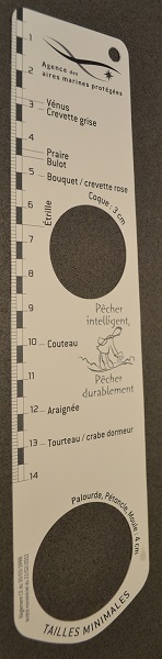 Réglette taille minimale mollusques et crustacés - recto