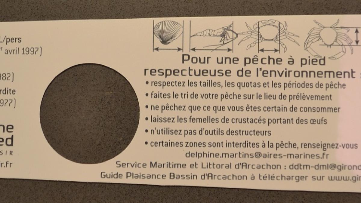 Réglette taille minimale mollusques et crustacés - verso