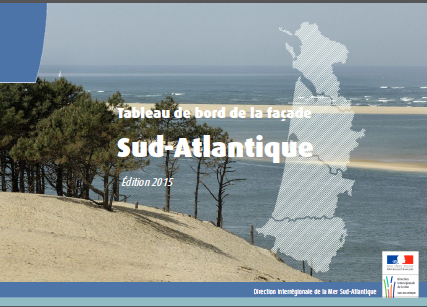 Tableau de Bord 2015 DIRMSA